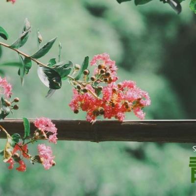 998娱乐彩票安卓APP下载手机版