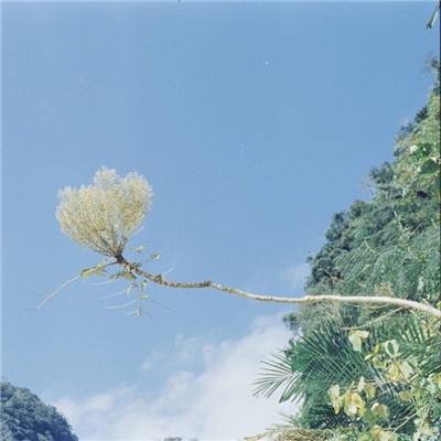 天天中彩票手机版登录