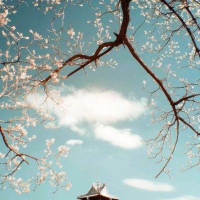 beat365体育ios版下载