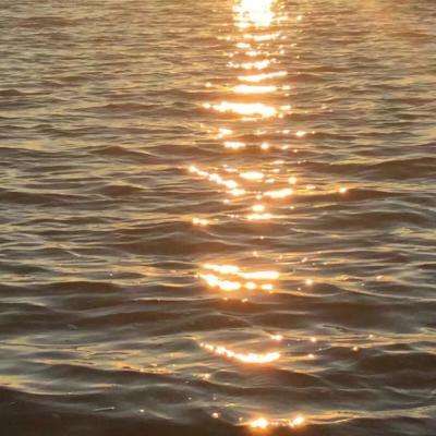 manbetx2.0官方网截图