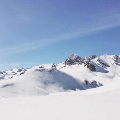 完美体育·app下载